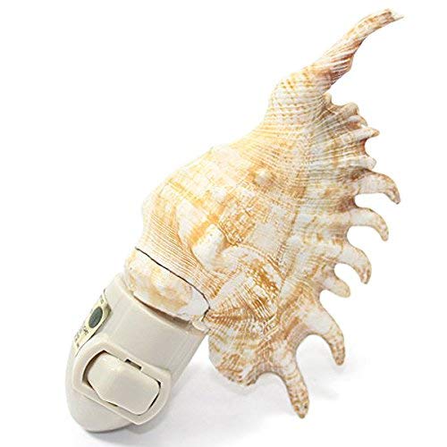 Authentic Spider Conch Seashell Night Light Lamp Decorative Home Decor Party Gifts