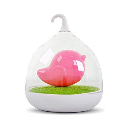 EnjoyableLife Bird Cage LED Touch Dimmable Night Light,Nursery Light, USB Rechargeable Lamp, For Both Indoor and Outdoor Use. (Pink)